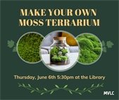 Make your own moss terrarium