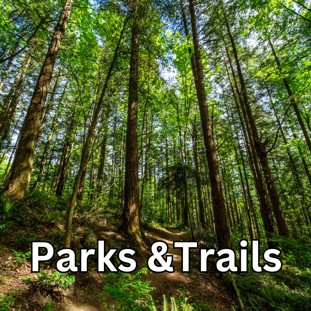 Parks and  Trails, picture of trees at Little Mountain Park